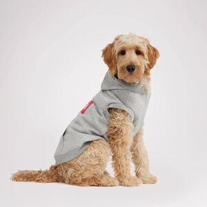 Pajar Light Gray Dog Hoodie Brand New